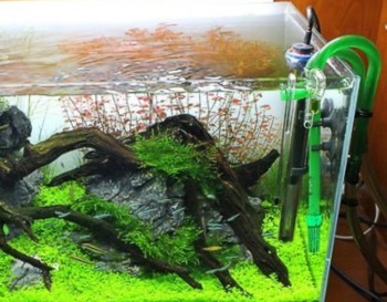 аквариум травник