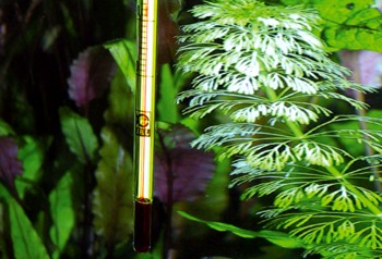 Измерение температуры аквариумной воды