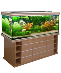 альтум 700 бук