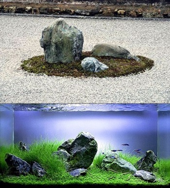Сад камней в аквариуме