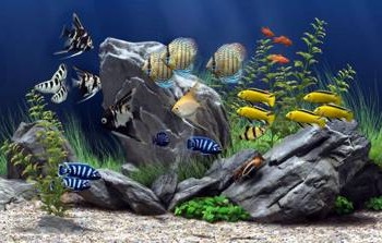 Фотоколлаж аквариума