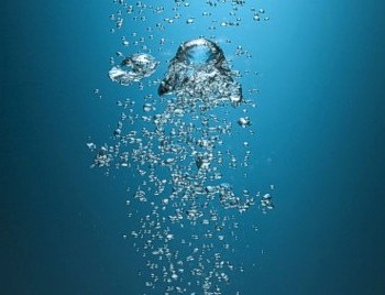 Петушок пускает пузыри в аквариуме