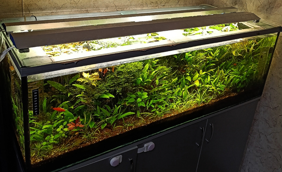 самодельный светильник для аквариума