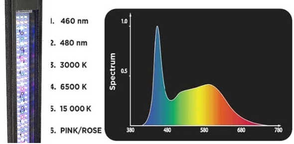флюваль плант