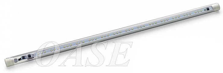 оазис дэйлайт