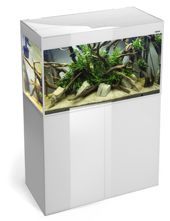 Aquael Glossy 80