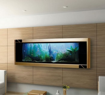 Aquavista Dinosaur Gold Edition