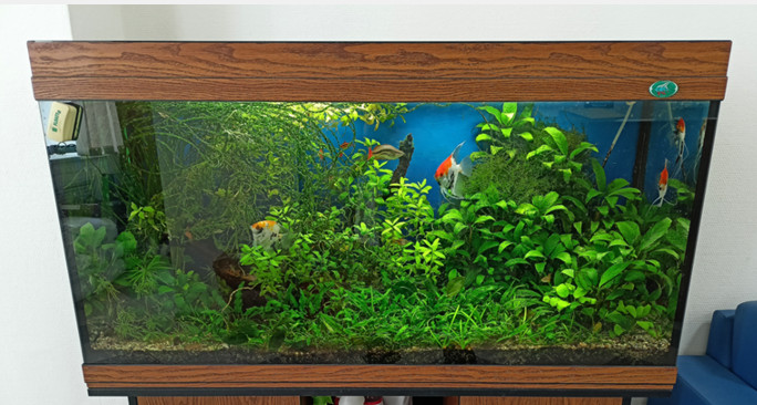 �������� � ����������� ������