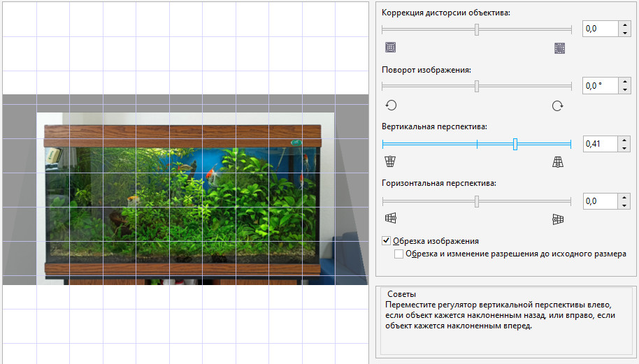 ������������ ����������